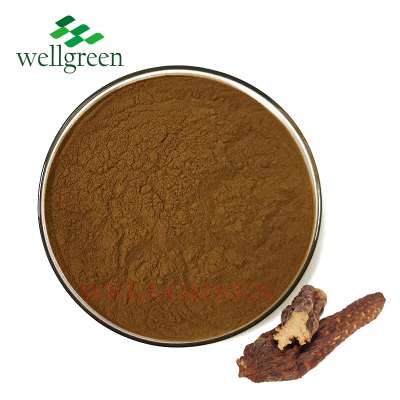 Wellgreen Plant Extract Cistanche Bark Extract Powder