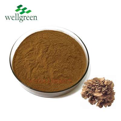 Grifola Frondosa Extract Maitake Extract Powder Polysaccharides 10%-50%