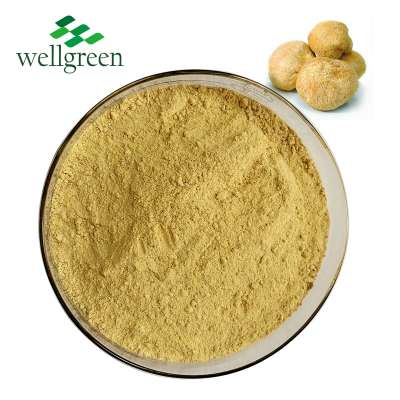 Factory Price Wholesale Bulk Lion's Mane Mushroom Extract for Stomach Health Care