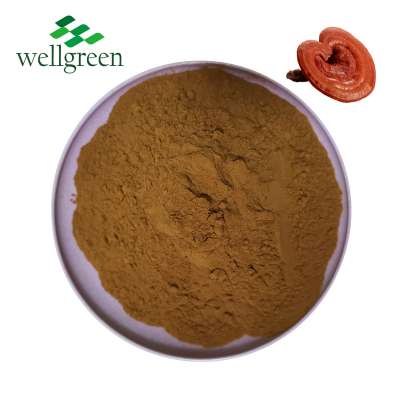 ISO factory supply High Quality food grade 100% reishi extract mushroom powder