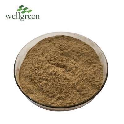 ISO Factory Supply 10% 20% 30% 40% 50% Ahcc powder Shiitake Mushroom Extract for Enhancing Immunity