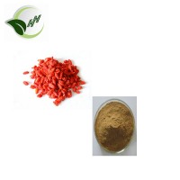 Chinese high quality wolfberry extract/gogi fruit powder