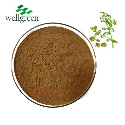 Hot Sale Testosterona Tribulus Terrestris Extract Powder 90% Saponins For Men's Supplement