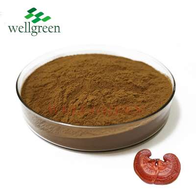 wholesale 100% natural ganoderma lucidum pure reishi mushroom extract powder in bulk