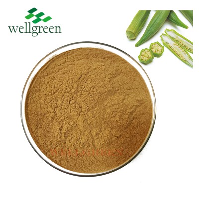 Wellgreen ISO Plant Okra Extract Polysaccharide for Men's health products