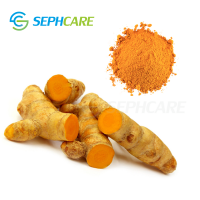 Natural turmeric extract curcumin 99% powder for food