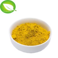 100% natural high quality lower blood fat and pressure ginger powder turmeric curcumin extract powder