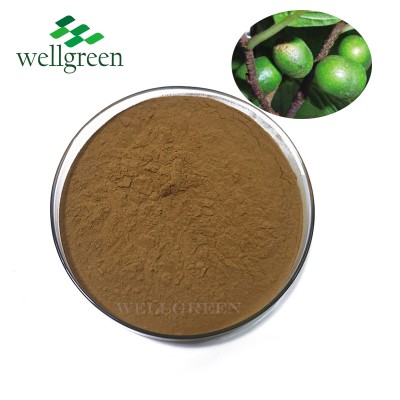 Factory Price Supply Bulk Pygeum Bark Extract 13% Phytosterols