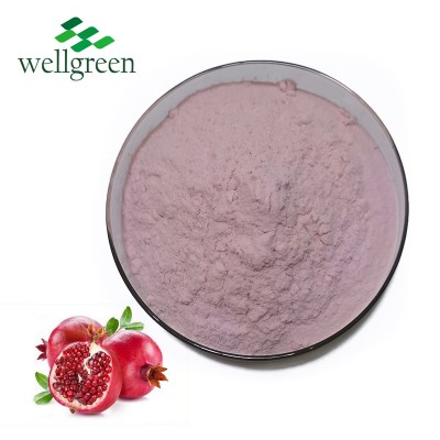 Wellgreen Natural Pomegranate Fruit Juice Powder