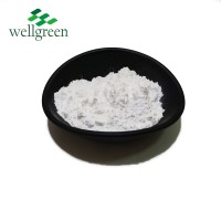 Wellgreen supply 10% Vitamin H/Biotin vitamin powder for Feed Grade