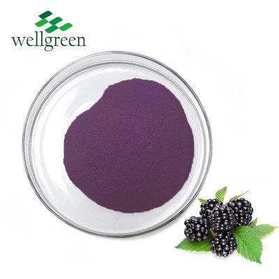 Wellgreen Supply 100%  Freeze Dried Blackberry Fruit Powder