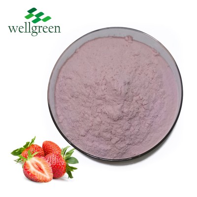 Wellgreen Best Price Organic Freeze Dried Strawberry Powder