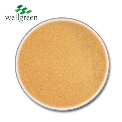 Wellgreen Organic Dried Carrot Fiber Powder