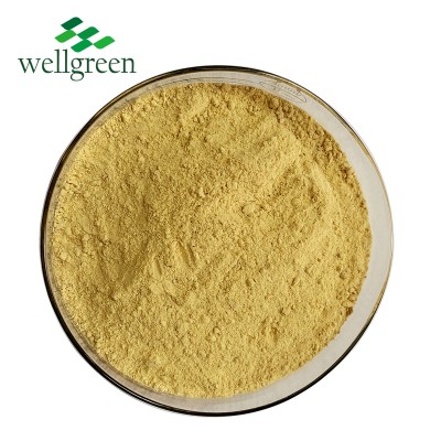 Wellgreen Food Flavorings Dehydrated Ginger Root Powder