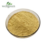 Wellgreen Best Price Organic Water Soluble Dried Ginger Powder