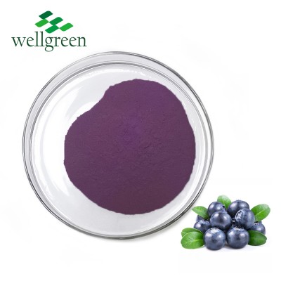 Wellgreen best price organic bulk wild blueberry powder 1kg