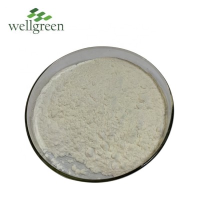 Wellgreen Supply Free Sample Natural Lychee Fruit Juice Powder