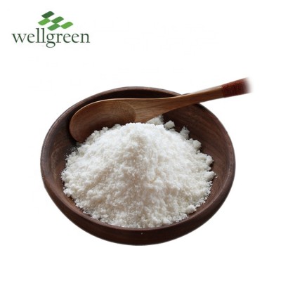 Wellgreen Wholesale Best Price Of Desiccated Coconut Powder