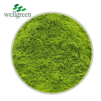 Wellgreen 100% Natural Organic Spinach Extract Powder