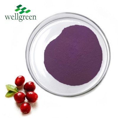 Wellgreen pure natural fresh cranberry juice powder for Drinks